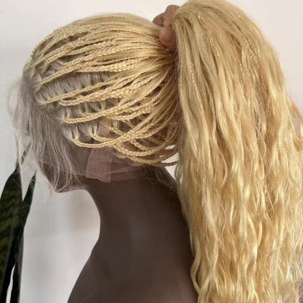 FlowerSeason Boho Box Braids Wig Full Lace Braided Wig Human Hair Square Parted Knotless Pre Pluched With Baby Hair Braided Wigs for Black Women(12 inch)