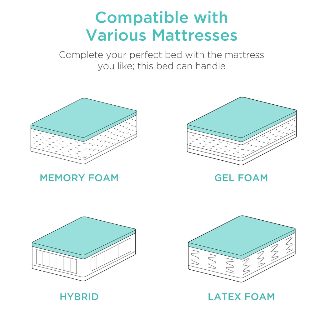 Best Choice Products Ergonomic Queen Size Adjustable Bed Frame, Electric Base w/Wireless Remote Control, Nightlight, Massager, 2 USB Ports