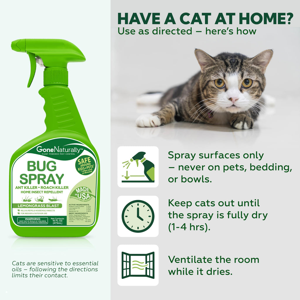 Peppermint Oil Spray for Bugs– Extra Strong Insect Repellent & Bug Spray for Home– Kills & Repels Ants, Roaches, Spiders & More– Safe Around Kids & Pets– Indoor & Outdoor Use (16oz)